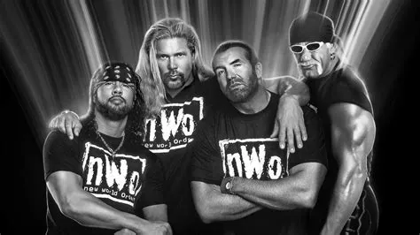 Can you get the nwo pack separately?