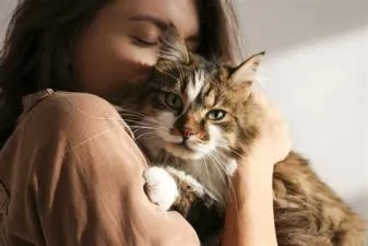 Why do humans love cats?