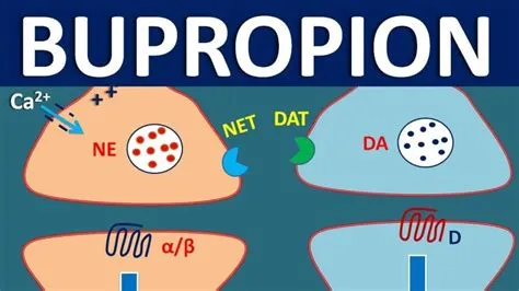 Why was bupropion taken off the market?