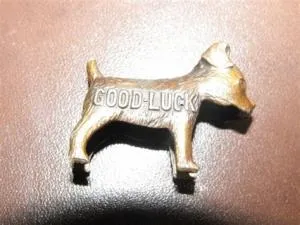 Which animal food is good luck charm?