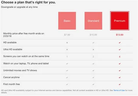 How much does netflix cost to own?