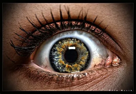 What is the hdr of human eye?