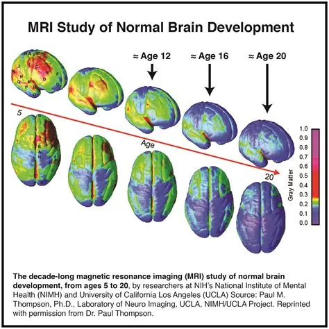 How mature is a 13 year olds brain?