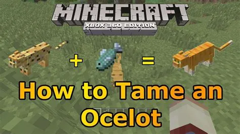 Will tamed ocelot follow you?