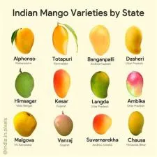 Which state fruit of india?