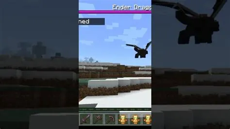 Can ender dragon disappear?