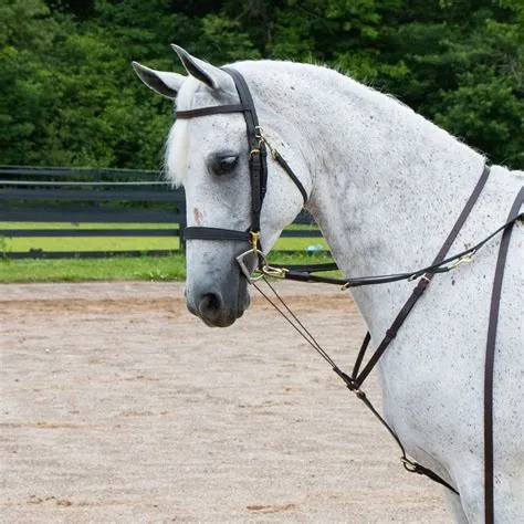 When should you use a martingale?