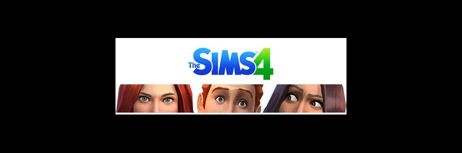 Does sims require internet?