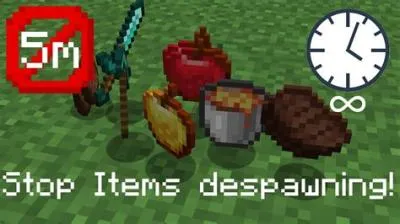 Do items despawn in minecraft pe?