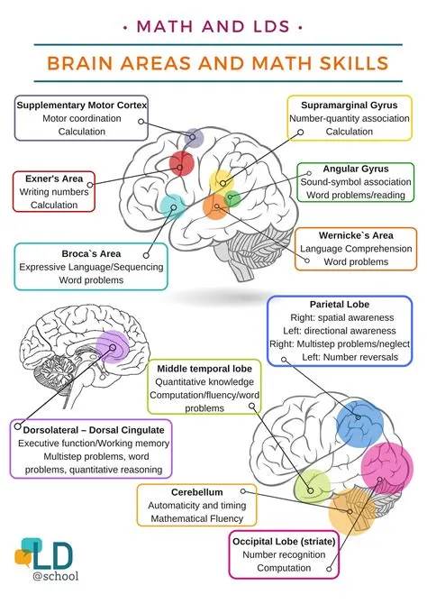 Does math affect iq?