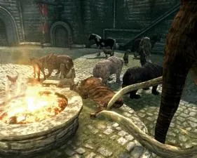 How many animals can you tame in skyrim?