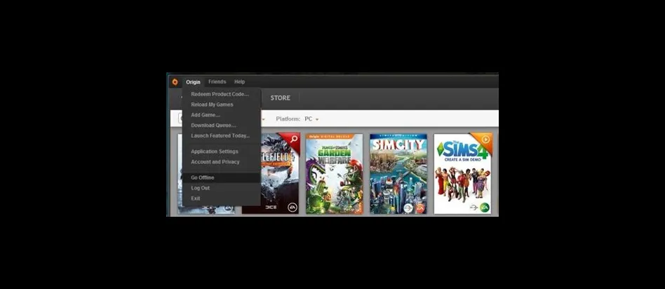 Why cant i play origin offline?
