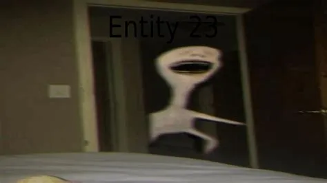 Who is entity 23?