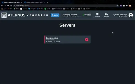 Why is aternos server laggy?