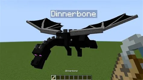 What is the ender dragon rename?