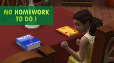 What to do when you accidentally sell your sims homework?