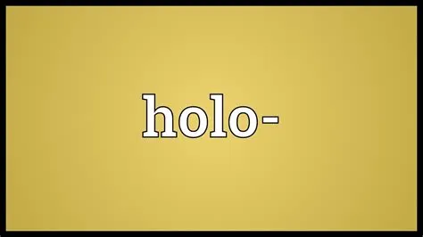 What does holo mean?