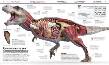 Is the i rex part human?