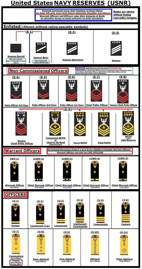 What rank are seals?