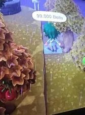 How do you bury 99k bells?