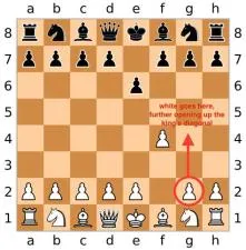 Is winning on time bad chess?