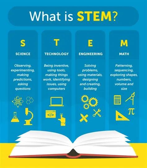 Why do students choose stem?