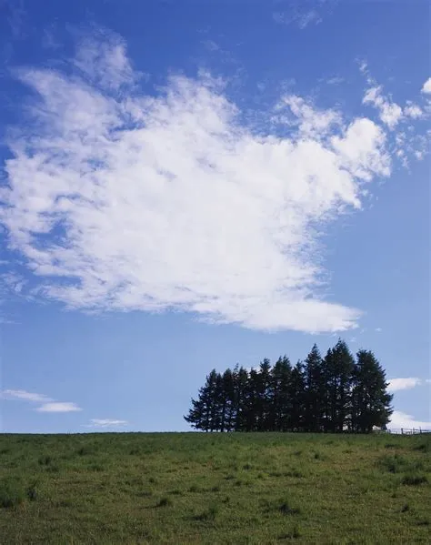 What is the thinnest cloud?