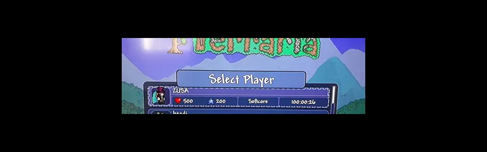 How many hours is 100 terraria?