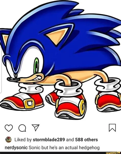 Why is sonic popular with autistic?