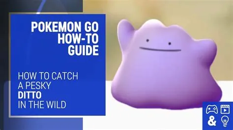 Are dittos hard to catch?