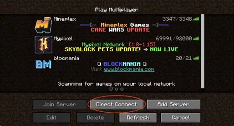 Can you play multiplayer on minecraft servers?