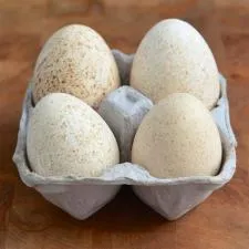 Why aren t turkey eggs sold?