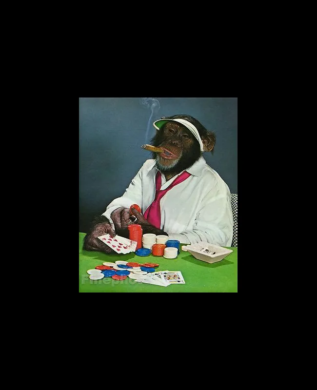 What is a monkey in gambling?