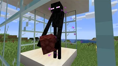 What endermen cant pick up?