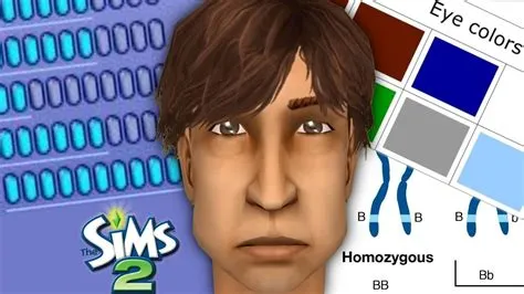 How does genetics work in sims 3?