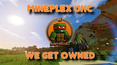 Who owns mineplex?