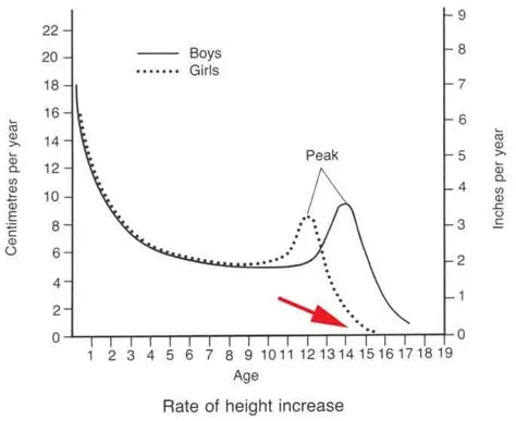 At what age does your iq stop increasing?