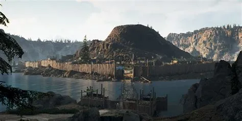 What is the max camp level in days gone?