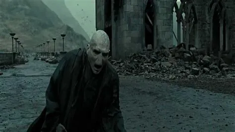 Why did voldemort scream when bellatrix dies?