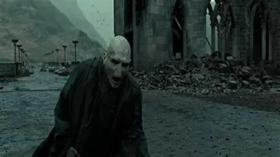 Why did voldemort scream when bellatrix dies?