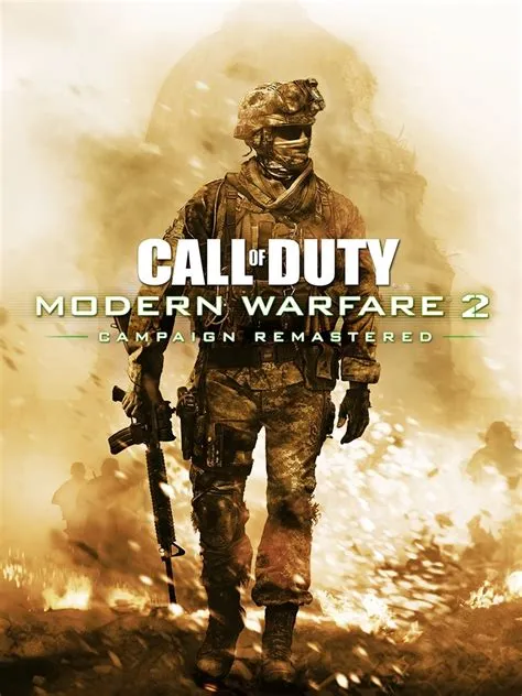 Does call of duty 2 have a campaign?