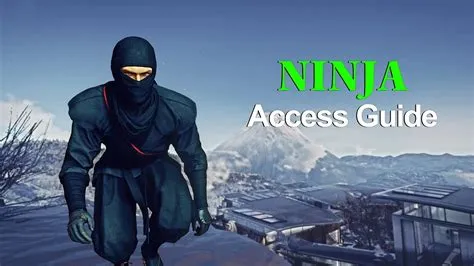 Where is ninja outfit hitman?