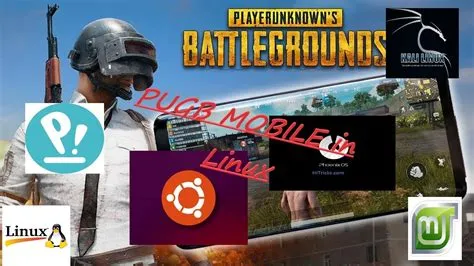 Can you play pubg on linux?