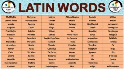 Is lag a latin word?