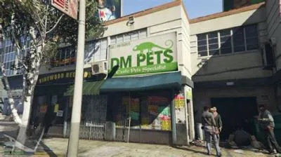 Where can you buy pets in gta 5?