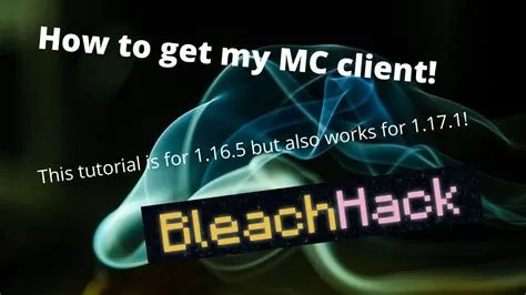 What is bleachhack?