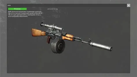 What is the rarest gun in dayz?