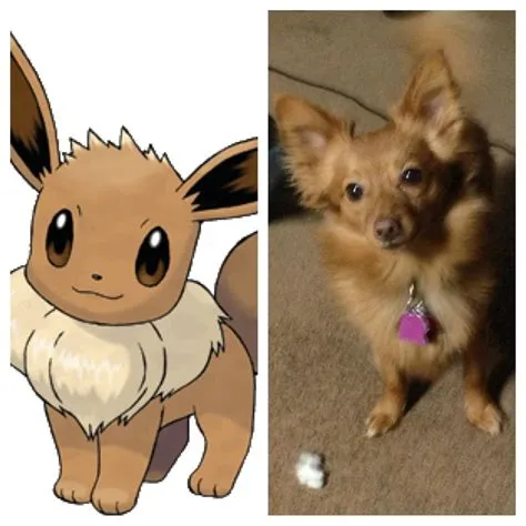 Is eevee a dog or fox?