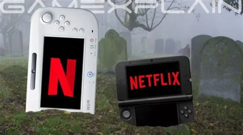 Why was netflix removed from 3ds?