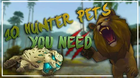 What pet should i use as survival hunter?